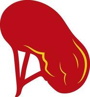 Human kidney in red color. vector