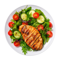 Grilled chicken breast and vegetables isolated. Illustration png