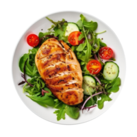Grilled chicken breast and vegetables isolated. Illustration png