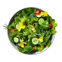 Grün vegan Salat isoliert. Illustration ai generativ png