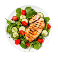 Grilled chicken breast and vegetables isolated. Illustration png