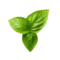 Green single basil leaf isolated. Illustration AI Generative png