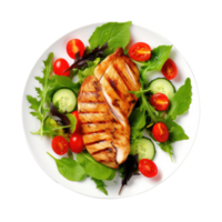 Grilled chicken breast and vegetables isolated. Illustration png