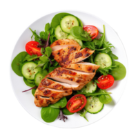 Grilled chicken breast and vegetables isolated. Illustration png