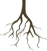 Flat illustration of roots. vector