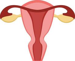 Isolated Female Reproductive System Icon In Flat Style. vector