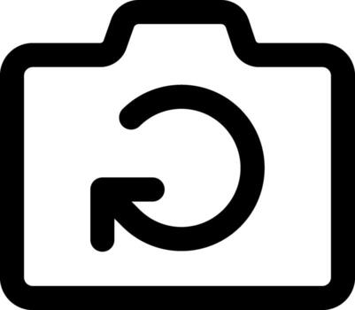 Switch camera icon in line art. vector