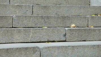 Park stairs in autumn.Closeup video