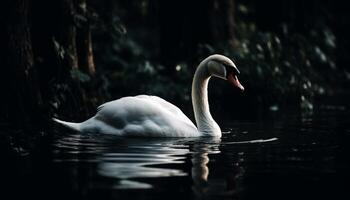 The elegant mute swan swims gracefully in tranquil blue waters generated by AI photo