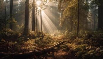 un brumoso otoño mañana, el bosque misterio revelado a amanecer generado por ai foto