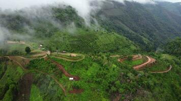 aereo Visualizza di il alberi nel il valle con nebbia nel il mattina. paesaggio di nebbioso valle e montagna nuvole nel Tailandia. il alba di il montagne con il mare di nebbia. video