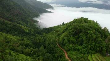 aérien vue de le des arbres dans le vallée avec brouillard dans le Matin. paysage de brumeux vallée et Montagne des nuages dans Thaïlande. le Aube de le montagnes avec le mer de brume. video