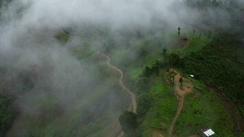 Aerial view of the trees in the valley with fog in the morning. Landscape of misty valley and mountain clouds in thailand. The dawn of the mountains with the sea of mist. video