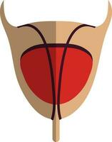 Human bladder icon in color with half shadow. vector