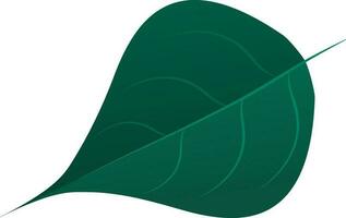 Betel Paan Leaf Element In Green Color. vector