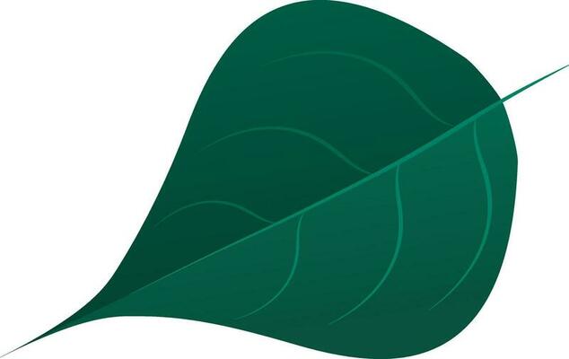 Green Leaf Vector Art, Icons, and Graphics for Free Download