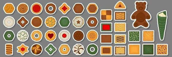 Big set homemade cookie different taste in pastry biscuit vector