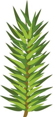 Illustration of a leaves.