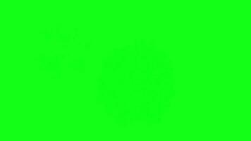 Fireworks animation on green screen background - New year celebration green screen background - Free video
