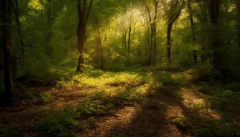 A tranquil footpath winds through the vibrant autumn wilderness generated by AI photo