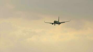 phuket, Thailand november 28, 2019 - lang schot, boeing 737 van nok lucht naderen voordat landen Bij phuket luchthaven. vliegtuig tegen de achtergrond van zonsondergang of dageraad video