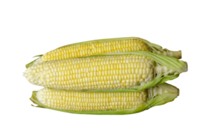 Corn on transparent background, top view png