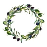 Wreath with olives branch png