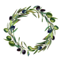 couronne avec Olives branche png