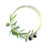 Gold frame with olives branch png