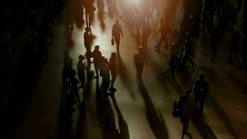 Crowds of people commuting in the city crossing street in rush hour traffic video