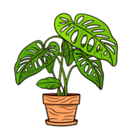 ai generated monstera plant in pot cartoon style png