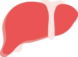 Red Liver Anatomy Icon In Flat Style. vector