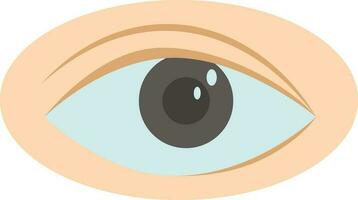 Beautiful Human Eye Icon In Flat Style. vector