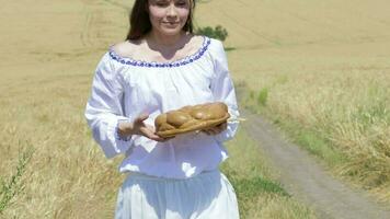 Jeune Dame en marchant dans le milieu de le blé champ video