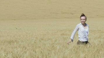 Young lady wearing jeans with luggage walking in the middle of the wheat field video