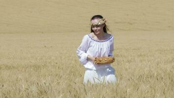 giovane signora a piedi nel il mezzo di il Grano campo video