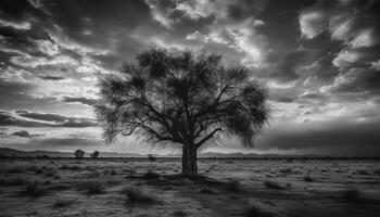 Silhouette of acacia tree on horizon, tranquil beauty in nature generated by AI photo