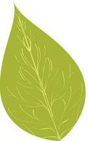 Vector illustration of leaf icon.