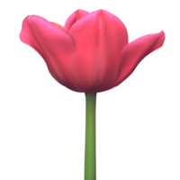 tulpan blomma ClipArt transparent png - generativ ai