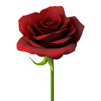 Red Rose Flower Clipart Transparent - png