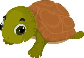 Cartoon character of tortoise. vector