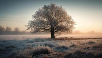 A tranquil winter landscape fog, frost, and a frozen meadow generated by AI photo