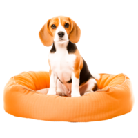 Beagle-Harrier Hündchen Dackel Basset hetzen generativ ai png