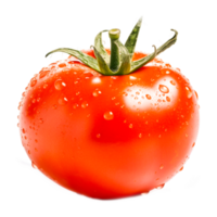 fermer de rouge tomate, prune tomate Cerise tomate Pizza légume tomate trancheuse génératif ai png