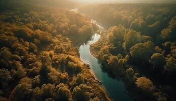 aéreo ver de tranquilo prado, verde árboles, y azul agua generado por ai foto