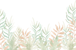Hintergrund mit tropisch Aquarell Blätter png