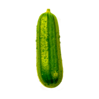 vert concombre, concombre Hamburger légume , concombre transparent Contexte génératif ai png