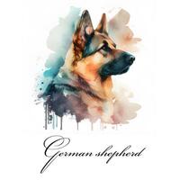 Watercolor illustration of a single dog breed german shepherd. AI generated. Dog portrait. photo