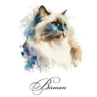 Watercolor illustration of a single cat breed birman. AI generated. Watercolor animal collection of cats. Cat portrait. Illustration of Pet. photo