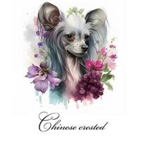Watercolor illustration of a single dog breed chinese crested with flowers. AI generated. Dog portrait. photo